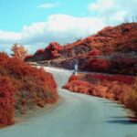 DSCF0979