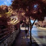 DSCF1019
